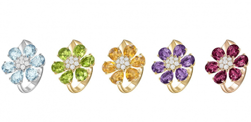 Fleurs d’Hawaï